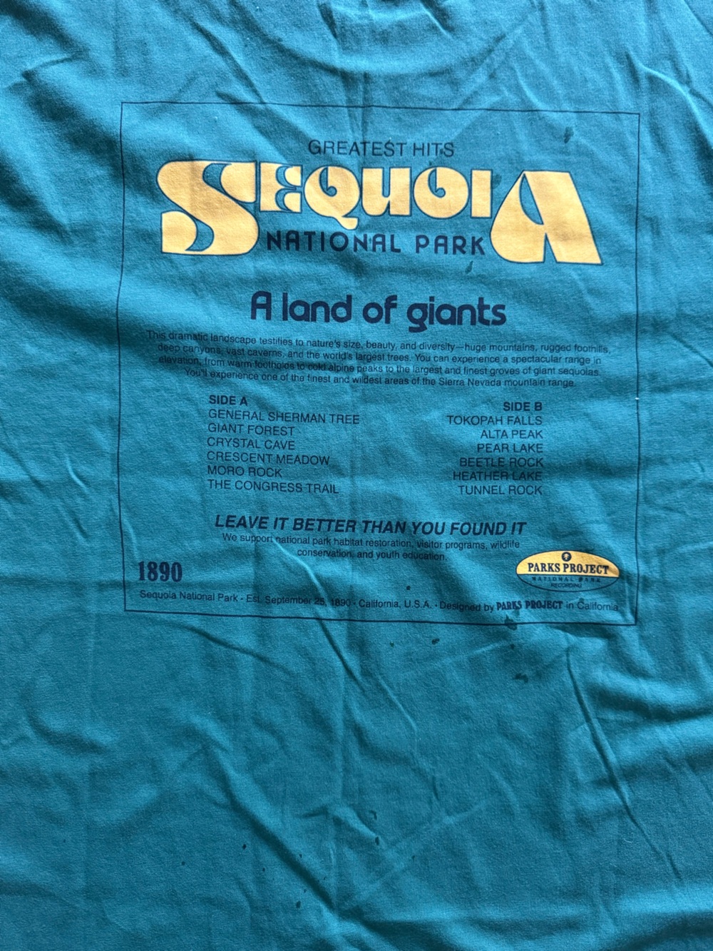 Parks Project Sequoia National Park Graphic Tee - Teal - Picture 4 of 4